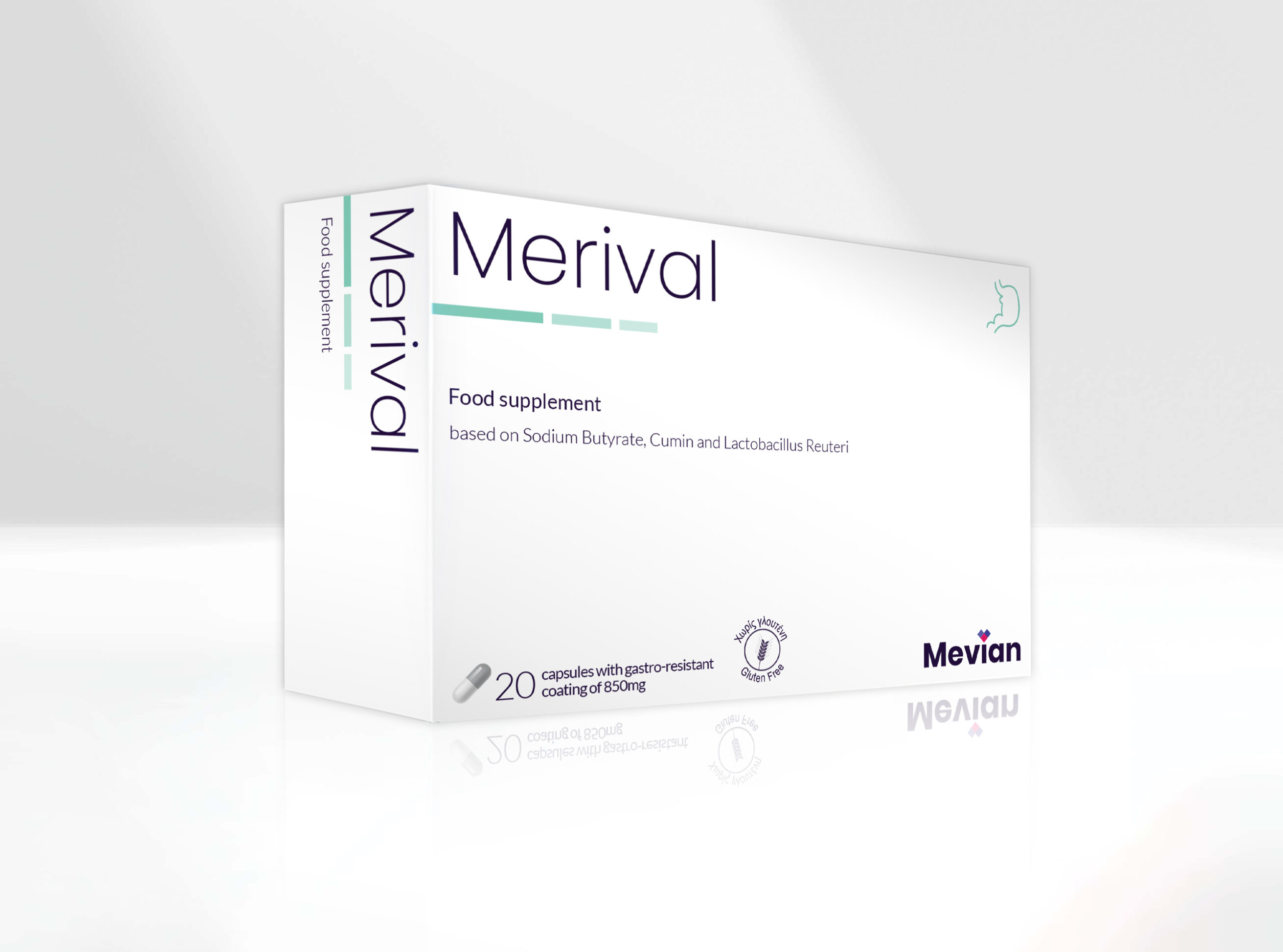Merival enables gastrointestinal motility by the elimination of gases while balancing the intestinal bacterial flora (suitable for Irritable bowel syndrome and intestinal inflammation.