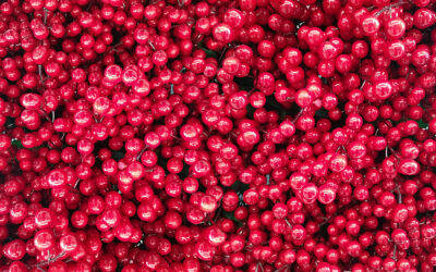 Know About Urinary Infections (Cystitis) and the Benefits of Cranberry Titrate
