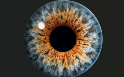 Understanding Age-Related Macular Degeneration called AMD